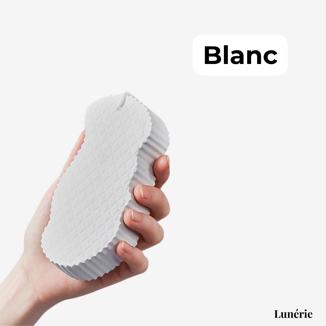 1 + 2 GRATUIT | ÉclatDouce™ Éponge Exfoliante pour le Corps