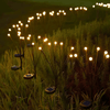 Dernier Jour -50% | Firefly™ Lampe Solaire LED Effet Luciole (6 lampes par lot)