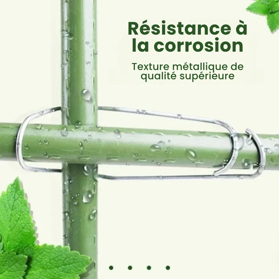 Dernier Jour -50% | GripGrow™ Crochets de soutien pour plantes (x 20)