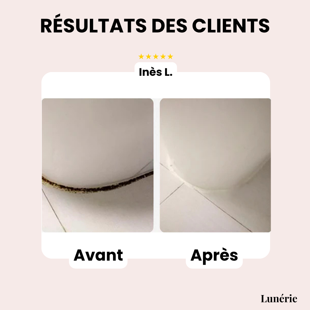 Dernier Jour -50%🔥 | GelPure™ Gel anti-moisissure