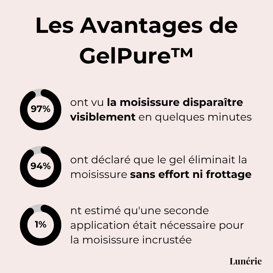 Dernier Jour -50%🔥 | GelPure™ Gel anti-moisissure