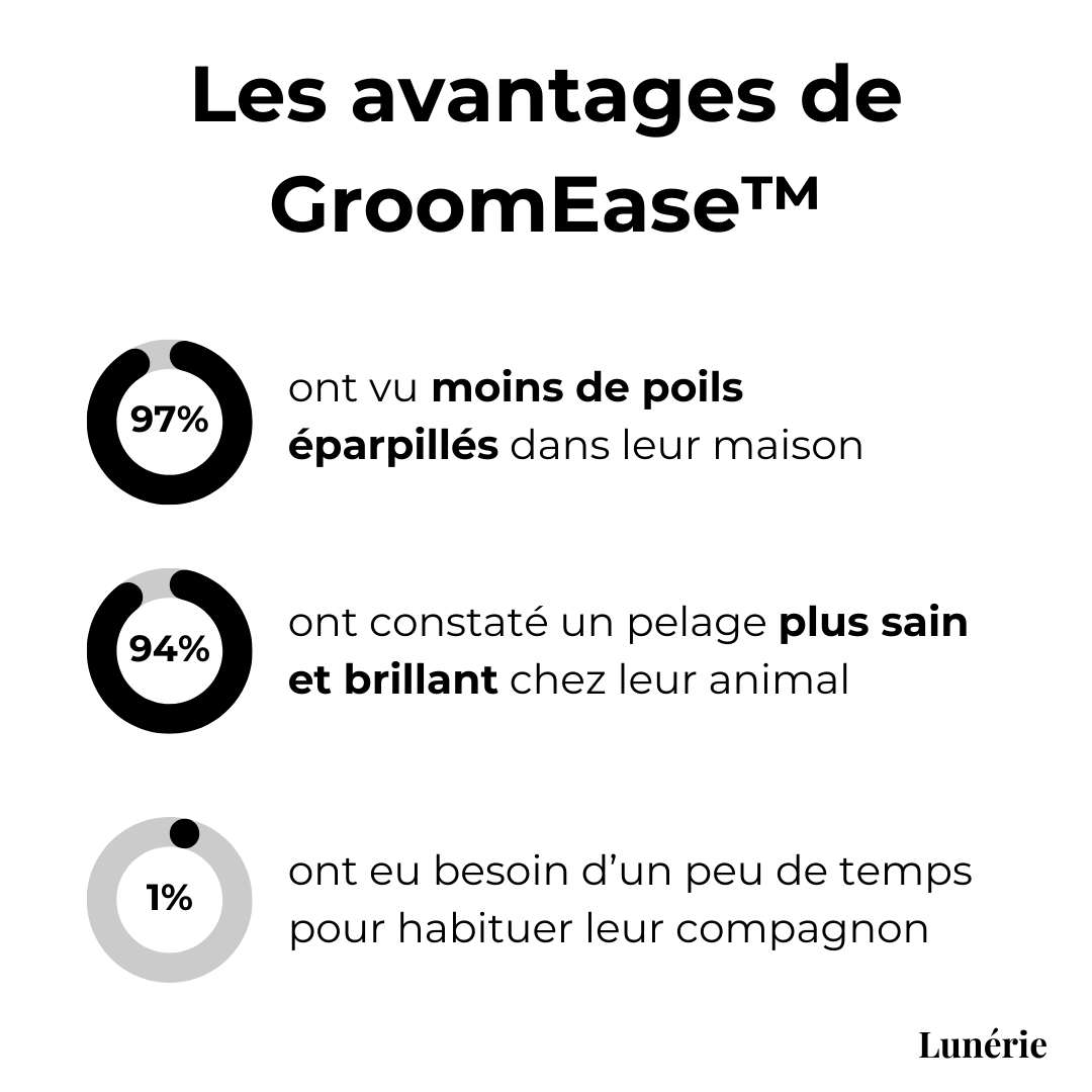 Dernier Jour -50% | GroomEase™ Gant Anti-Poils Pratique