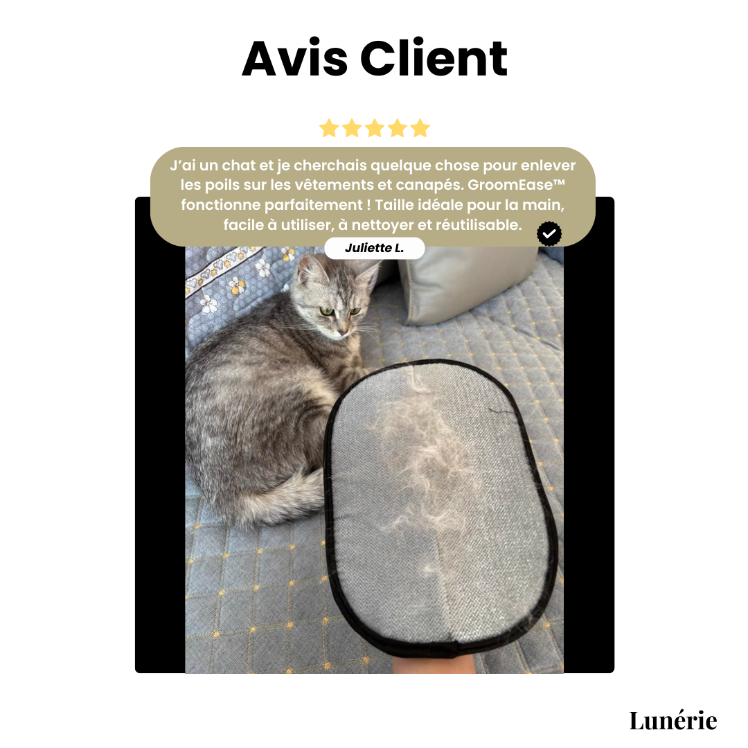 Dernier Jour -50% | GroomEase™ Gant Anti-Poils Pratique