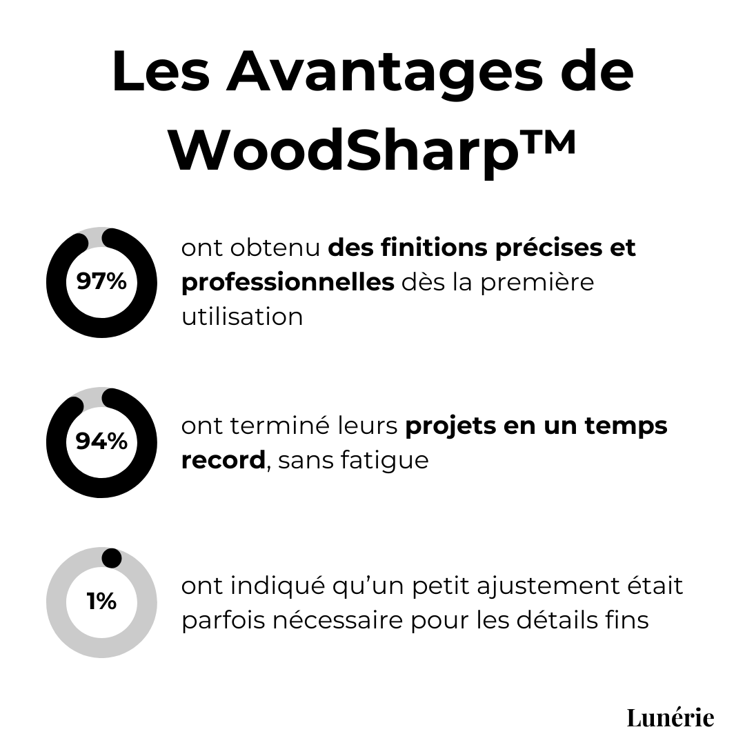 Dernier Jour -50% | WoodSharp™ 3 disques pour sculpter, lisser et creuser vos projets en bois