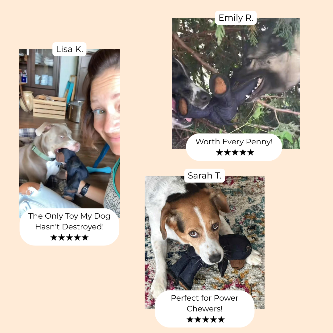 50 % DE RÉDUCTION | TuffChew™ Jouet pour Chien Ours Indestructible