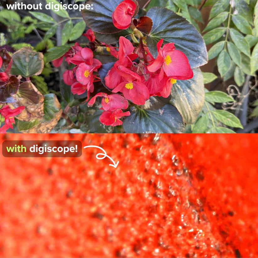 LearnScope™ Microscope pour Enfants I 50% DE RÉDUCTION