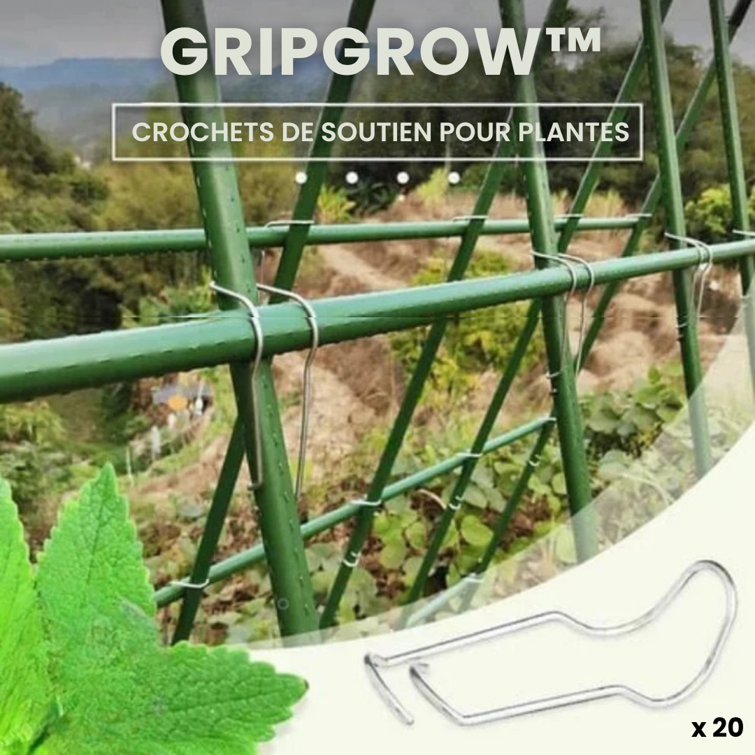 Dernier Jour -50% | GripGrow™ Crochets de soutien pour plantes (x 20)