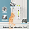 Dernier Jour -50% | WiggleTail™ Jouet interactif pour chat