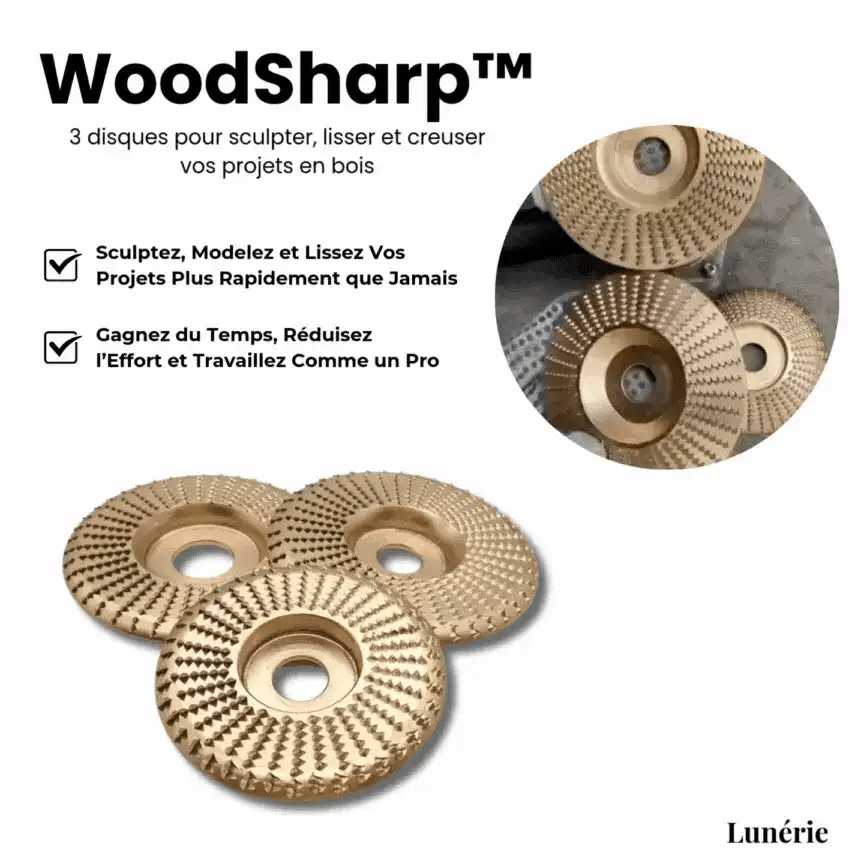Dernier Jour -50% | WoodSharp™ 3 disques pour sculpter, lisser et creuser vos projets en bois